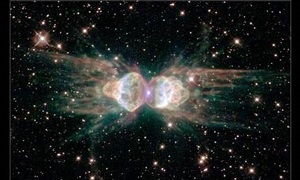 ant nebula